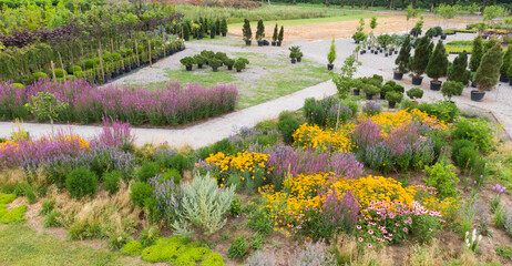 Fototapeta premium colorful nature orchard field with many beautiful flowers
