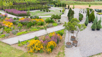 colorful nature orchard field with many beautiful flowers