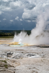 The Fountain Geyser erupts in Yellowstone National Park