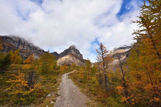 Larch Valley Trail in golden autumn color