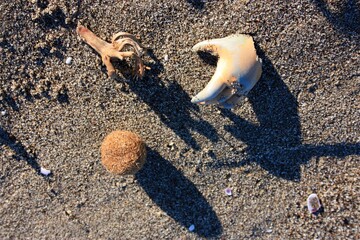terrifying hand of toy doll abandoned on the beach among the junk