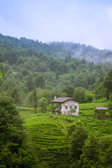 Fototapeta na wymiar cute little village house under cloudy mountains