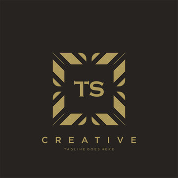 TS initial letter luxury ornament monogram logo template vector