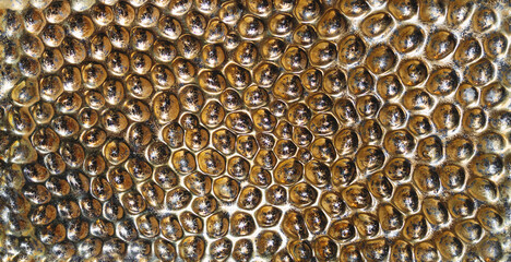 Metallic gold pattern texture background