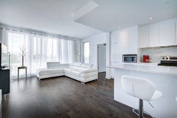 Real estate photography - Luxury new modern apartment in Montreal, Canada