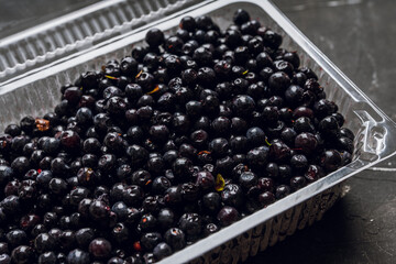 Freshly harvested bilberries in plastic container. Selective focus.