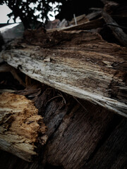 Fototapeta na wymiar Wood logs texture