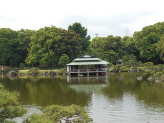 Obraz premium 6月の清澄庭園 