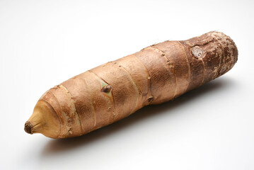 タケノコイモ　京芋　宮崎県産