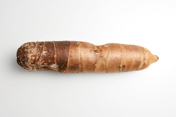 タケノコイモ　京芋　宮崎県産