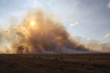 Farm fire smoke cloud