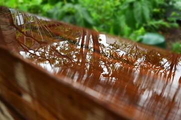 雨に濡れた木製の手すりの水に映る樹木のシルエット