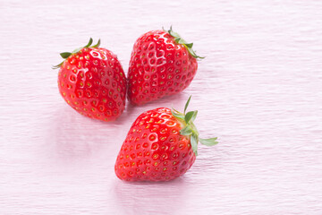 いちご　とちおとめ　愛知県　日本