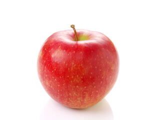 りんご　サンジョナゴールド　岩手県産 リンゴ　日本