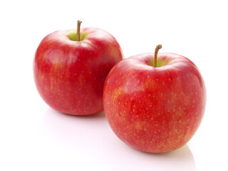 りんご　サンジョナゴールド　岩手県産 リンゴ　日本