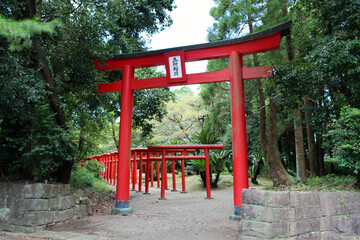 Fototapeta na wymiar Red torii Shinto gate around Miyazaki Jingu Shrine