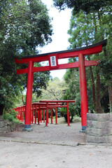Red torii Shinto gate around Miyazaki Jingu Shrine