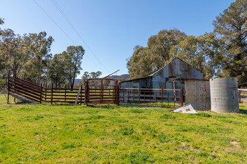 An old rusty shed in a green field in regional Australia