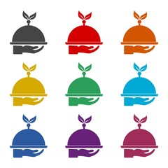 Organic food tray icon, color set