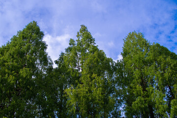 日本の岐阜県の公園