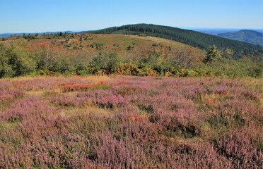 Le massif des Monédières en Corrèze .