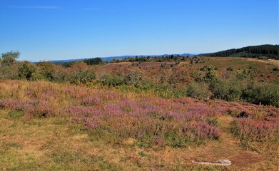 Le massif des Monédières en Corrèze .