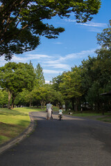 Fototapeta na wymiar 公園を自転車とベビーカーで散歩する日本人の親子