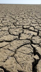 dry cracked earth