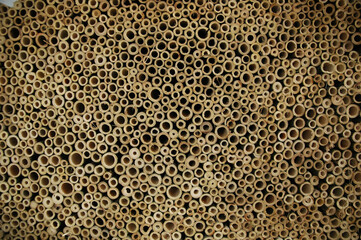 Bamboo sticks ready for further slicing into thin slices