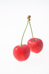 サクランボ　佐藤錦　日本