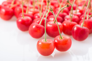 サクランボ　佐藤錦　日本