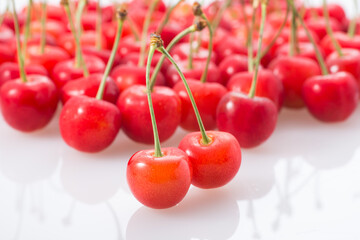 サクランボ　佐藤錦　日本