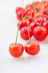 サクランボ　佐藤錦　日本