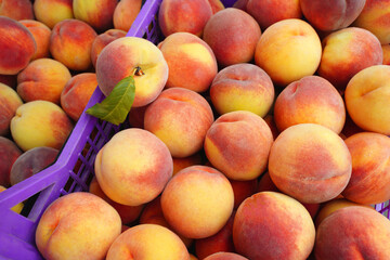 ripe juicy peaches in a basket