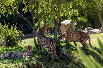 Fototapety na wymiar - Fototapeta24.pl