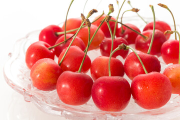 サクランボ　佐藤錦　日本