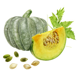 Pumpkin and pumpkin seeds watercolor illustration isolated on white background