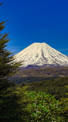 The Mount Ngauruhoe from Desert Road