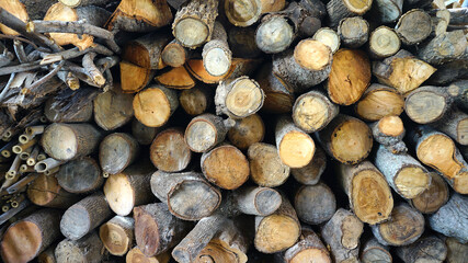  Wood space background and texture .Wood industrial                              