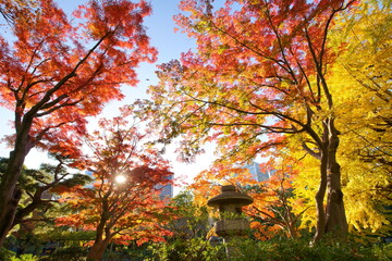 紅葉の日比谷公園