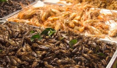 Fried insects sold in the market