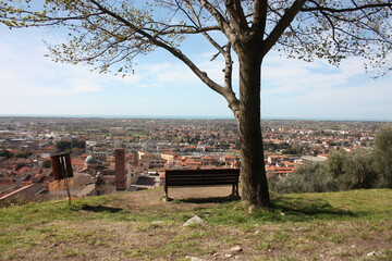 aerial view from a hill. a quiet, green, quiet and peaceful public park. a solitary bench, a tree and a view of the town stretching to the sea. pietrasanta and its historical beauty