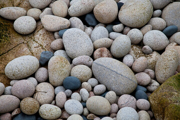 Smooth Round Pebble At Nanven Cove