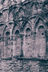 Stone carving on a wall of a medieval priory abbey. With colour toning
