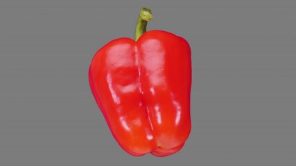 Fresh red bellpepper spin and float - isolated on neutral gray. Seamless loop for unlimited duration. Alpha channel included for compositing projects.