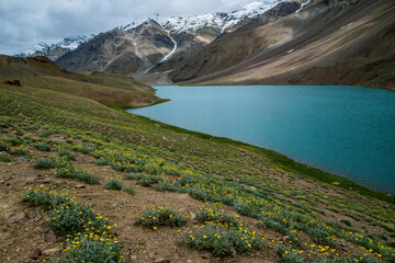 Fototapeta premium Chandratal lake on a cloudy day