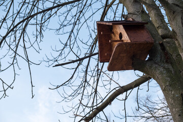 Wooden birdhouse on a tree