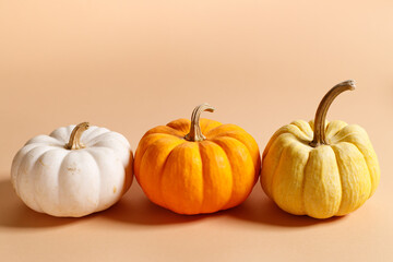 Fancy pumpkins on color background
