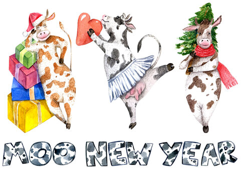 watercolor christmas illustration three new year cows with gift boxes, tree and heart