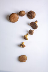 Jersey cow mushrooms are laid out in the form of a question mark on a white background. Top view. Vertical orientation. High quality photo